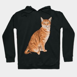 The Orange Cat Hoodie